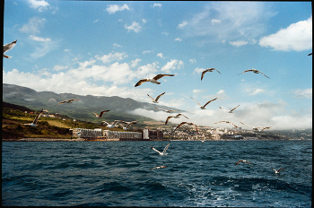 Nebel zerstreut / ***