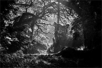 Die verlorene Welt / ***