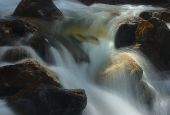 Mountain Stream / ***