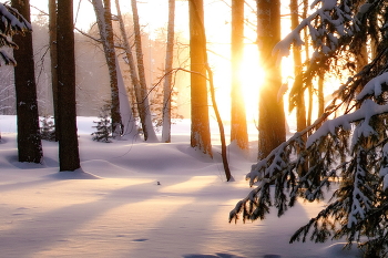 Frostigen Morgen . / ***