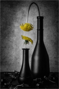 Natürliche Auslese / ***