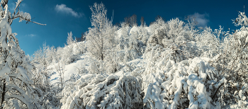 Mit der Taufe! / http://www.youtube.com/watch?v=7Jky1hMxrJE