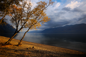 Morning on the lake. / ***