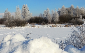 Footprints in the snow / ***
