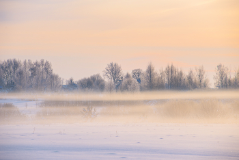 Schwerelosigkeit / ***