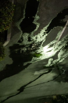 Mondscheinsonate / .....