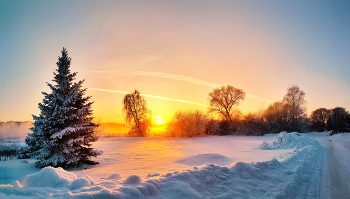 Winter Sunset / ***