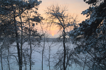 Blick aus dem Fenster / ***