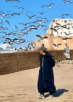 Essaouira, windy port / Atlantic port Essaouira in Morocco