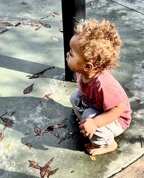 Curiosity / Toddler watching other children’s play in a park
