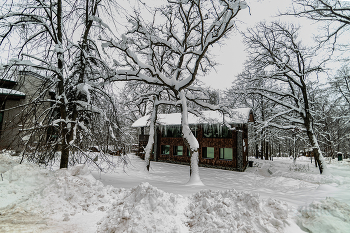 verschneite Winter / ***