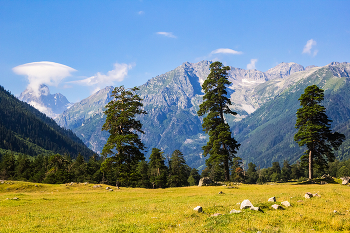 drei Schwestern / ...