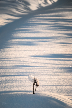 Weather recovered ... / ***