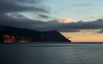 Reflections of a sunset / ***