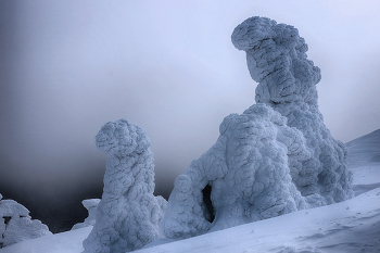 On the mountain / ***