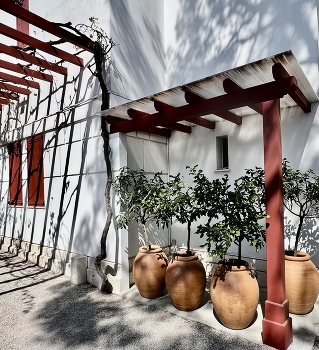 Courtyard South France / Summer sun South France village courtyard