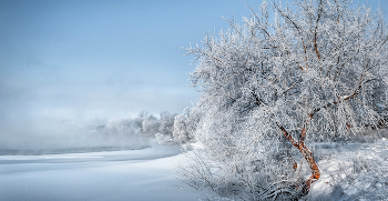 Winter sketches. / ***