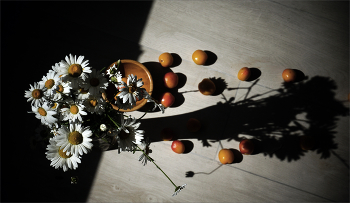 Gänseblümchen / ***