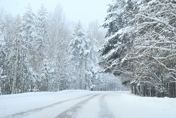 Winter road / ***