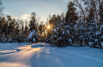 January evening / ***