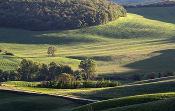 Waiting for the heat / ***