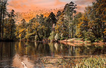 Autumn Pond / ***