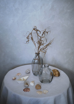 Mit Muscheln ... / ***