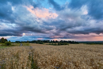 Native open spaces / ***