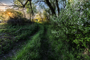 on unknown tracks / ***