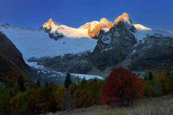 Dawn in the mountains / ***