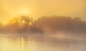 Gold-Dämmerung / ***