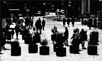 &nbsp; / ............................................