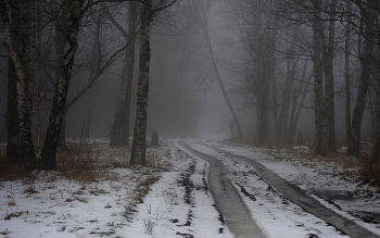 Nebliger Morgen / ***