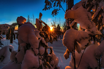 die Morgensonne / ***