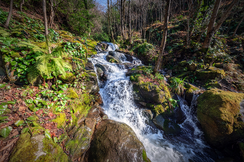 Spring Waterfall In Mtirala Park / Already in February, the streams and rivers of Adjara become full-flowing