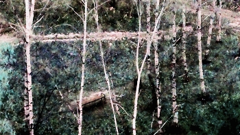 aus dem Fenster / ***