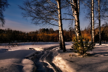 Winter evening. / ***