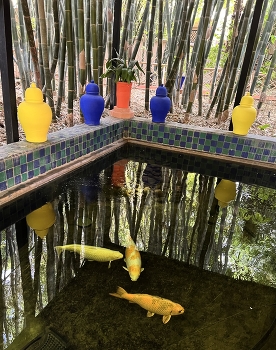 Golden fish / Jarden Majorelle, Marrakesh, Morocco