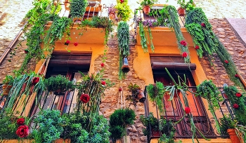 Mont-roig del Camp - floral casa - Baix Camp / Mont-roig del Camp - floral casa - Baix Camp