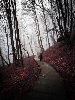 Walking in Autumn / ***