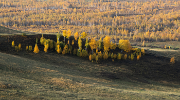 CORNER OF AUTUMN / ***