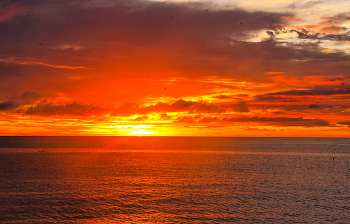 Sonnenaufgang im Wald / ***