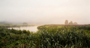 Nebliger Morgen / ***