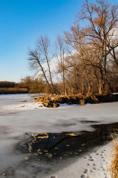 First thawed patches / ***