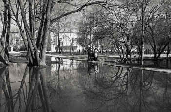 über den Frühling / ***