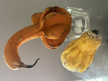 Powerful / Social hierarchy