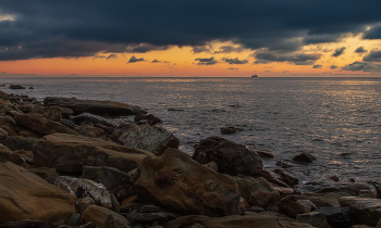 Ich werde Sturm / ***