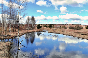 Spring reflection / ***