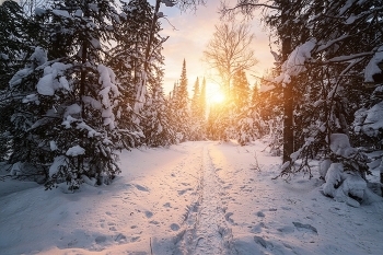 Pathway Health / ***