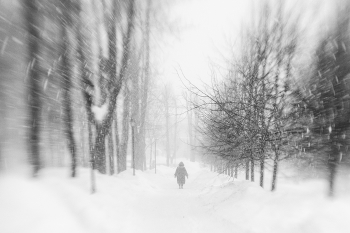 When the trees were large / ***